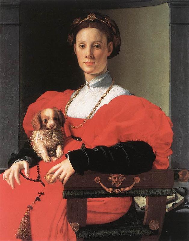 BRONZINO, Agnolo Portrait of a Lady with a Puppy f